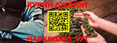jwh Кингисепп
