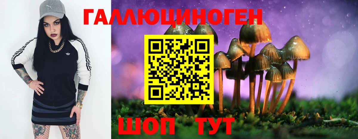 Дюртюли  Галлюциногенные грибы GOLDEN TEACHER  закладки  Галлюциногенные грибы MAGIC MUSHROOMS  Вход с VPN 