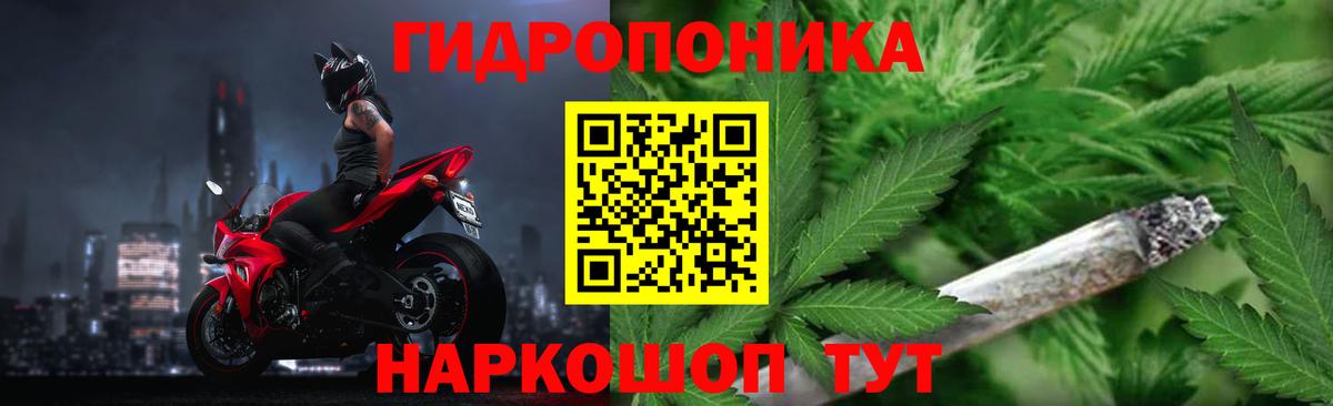 Конопля конопля  Вход с VPN  Дюртюли  Конопля ГИДРОПОН  Каннабис Bruce Banner  МАРИХУАНА LSD WEED 